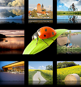 Ferienhaus an der Müritz-günstig und gemütlich